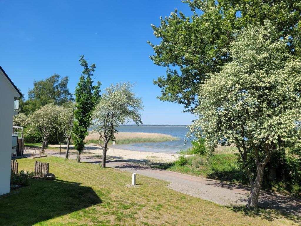 Baltic Lagoon Resort Direkt Am Meer Fuhlendorf  Eksteriør bilde